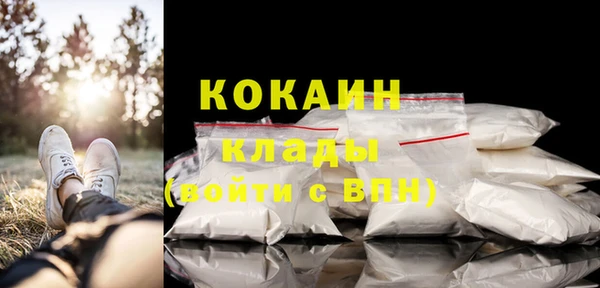 гидра Новодвинск