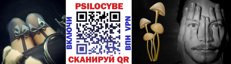 ссылка на мегу маркетплейс  Невельск  Галлюциногенные грибы GOLDEN TEACHER 